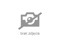 Toyota Auris - zobacz ofertę